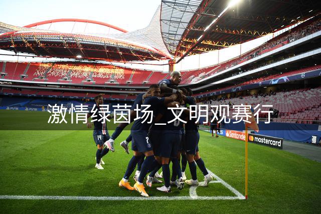 激情绿茵场 文明观赛行